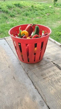 Mixed Hot Peppers - 500g
