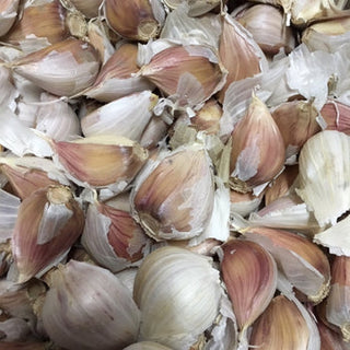 Garlic - Porcelain - in cloves - 500 g (30-35 units)